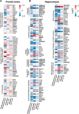 Gene expression profiling reveals a role of immune system and inflammation in innate and stress-induced anxiety-like behavior
